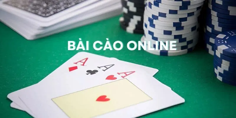 Giới thiệu chung về bài cào online